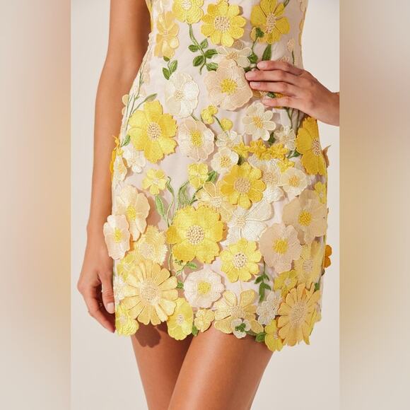ASTR The Label Aisha Floral Appliqué Mini Dress S - Picture 5 of 9
